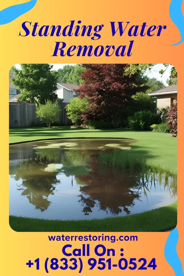 Standing Water Removal in Lancaster, TX